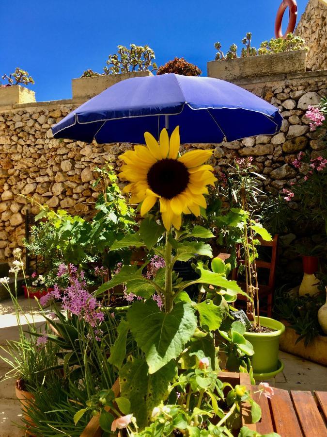 Botanica B&B Xagħra Extérieur photo