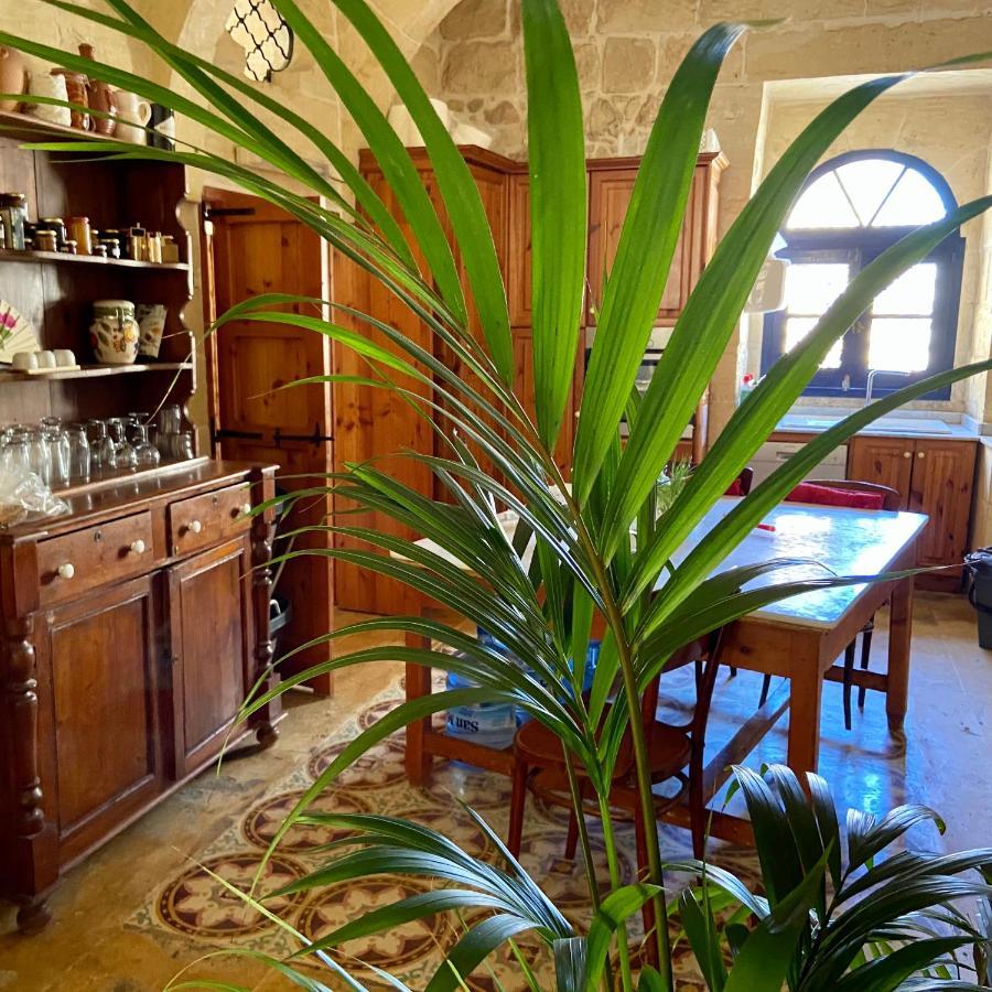 Botanica B&B Xagħra Extérieur photo