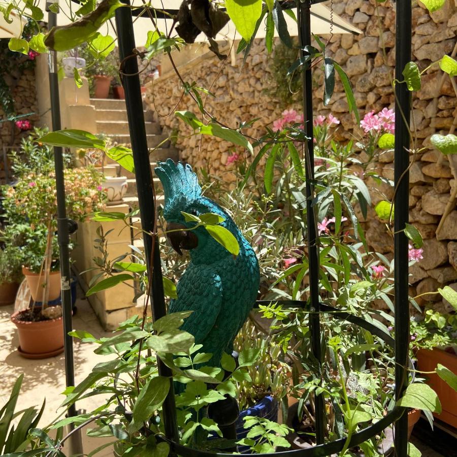 Botanica B&B Xagħra Extérieur photo